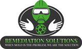 Mold Removal Services