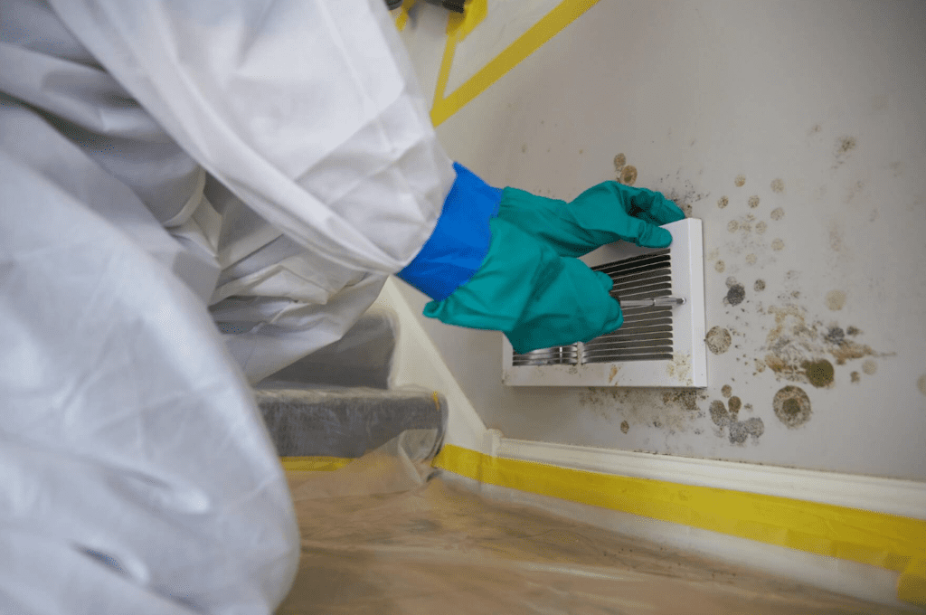 mold prevention company