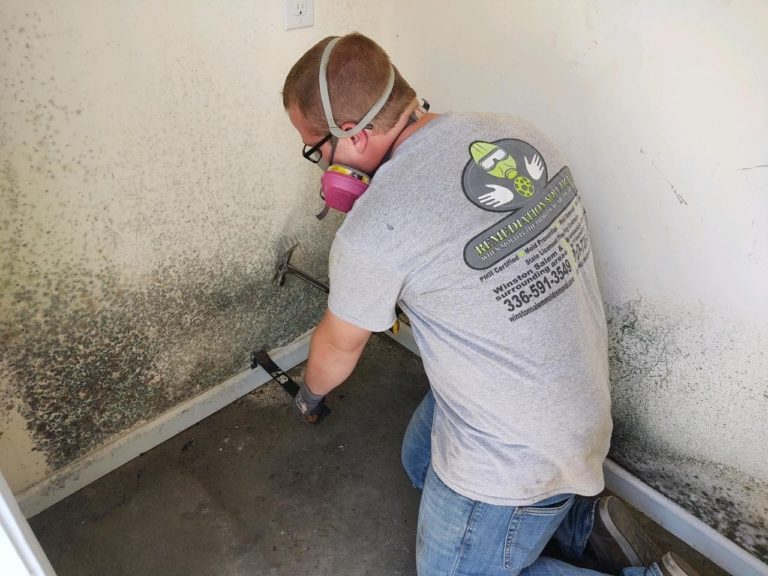 Mold and Mildew Removal Company Near You | Get a Free Quote!