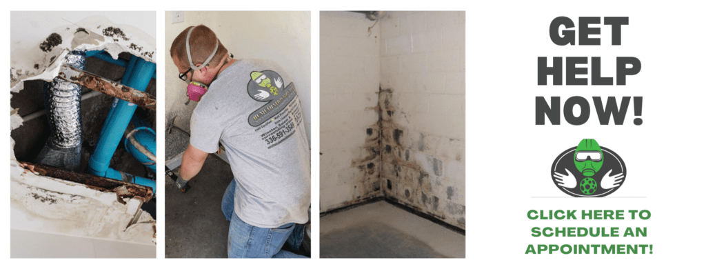 mold remediation services north carolina