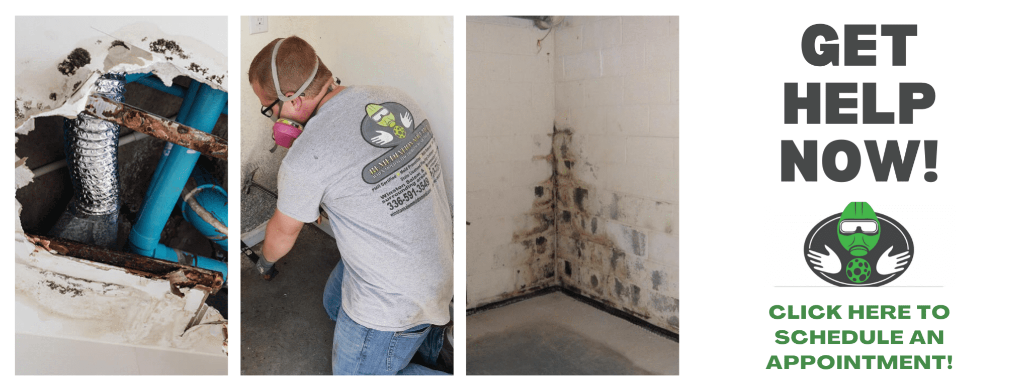Mold and Mildew Removal Services Mold Remediation Company in North