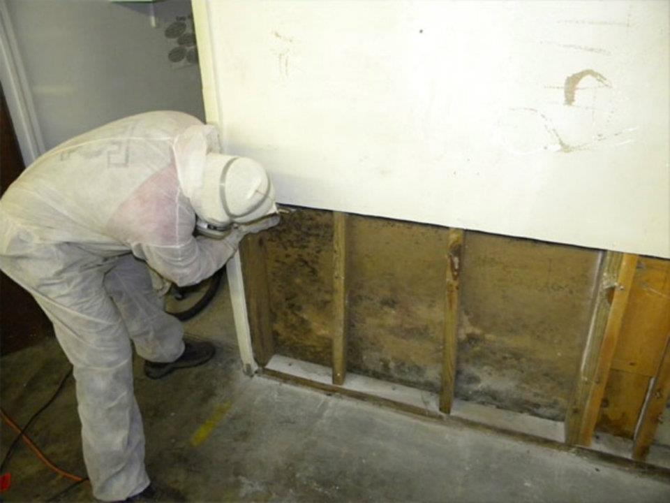 BATHROOM MOLD REMOVAL