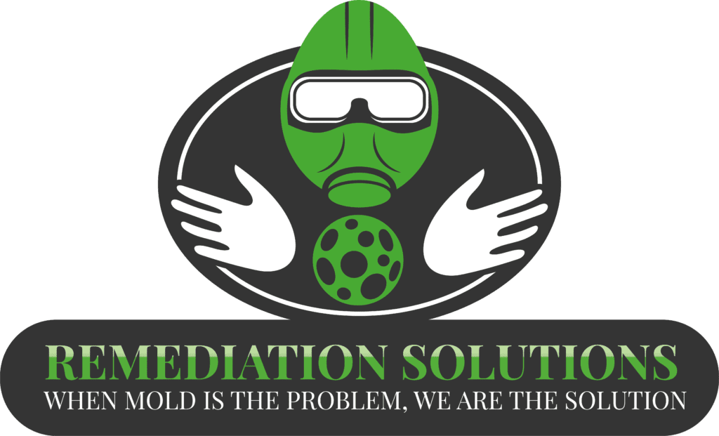 5 Mold Removal Services in Dallas Supporting Residential and Commercial ...