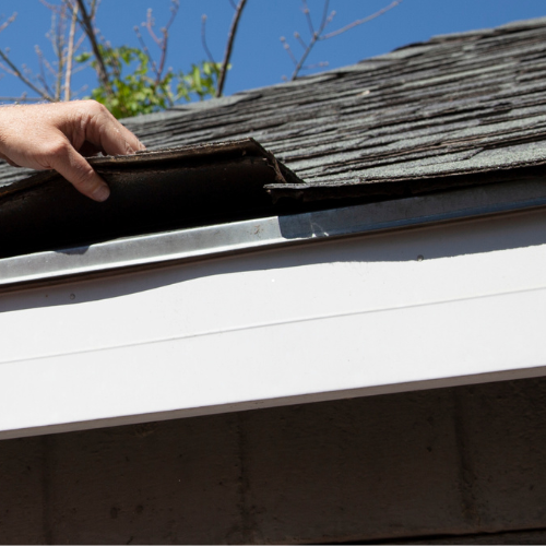 holden beach nc mold remediation services(1)
