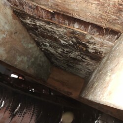 MOLD RESTORATION