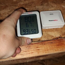 MOLD TESTING