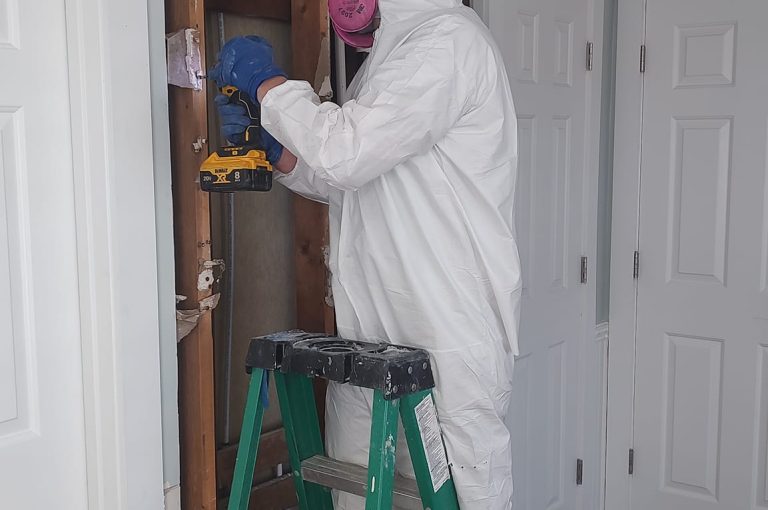 400950943_247127961696542_7140850285617816310_n 400950943_247127961696542_7140850285617816310_n